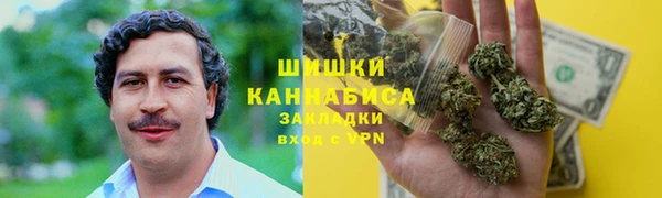 сатива Алзамай