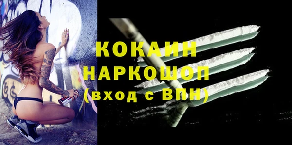 прущие грибы Алексеевка