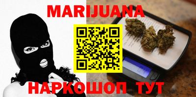 сатива Кингисепп