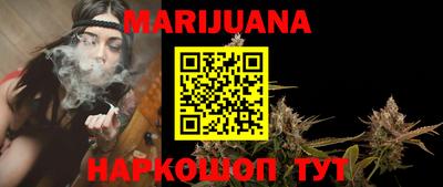 Альфа ПВП Кандалакша