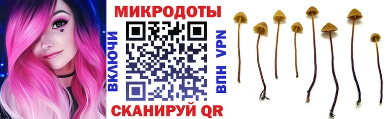 купить закладку  Нижний Тагил  Галлюциногенные грибы Psilocybine cubensis 
