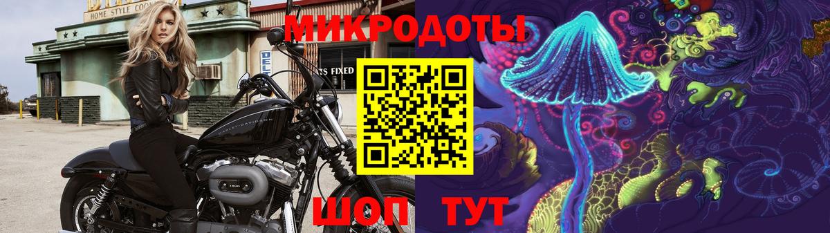 Псилоцибиновые грибы Psilocybine cubensis  Вход с VPN  цены   Нижний Тагил 
